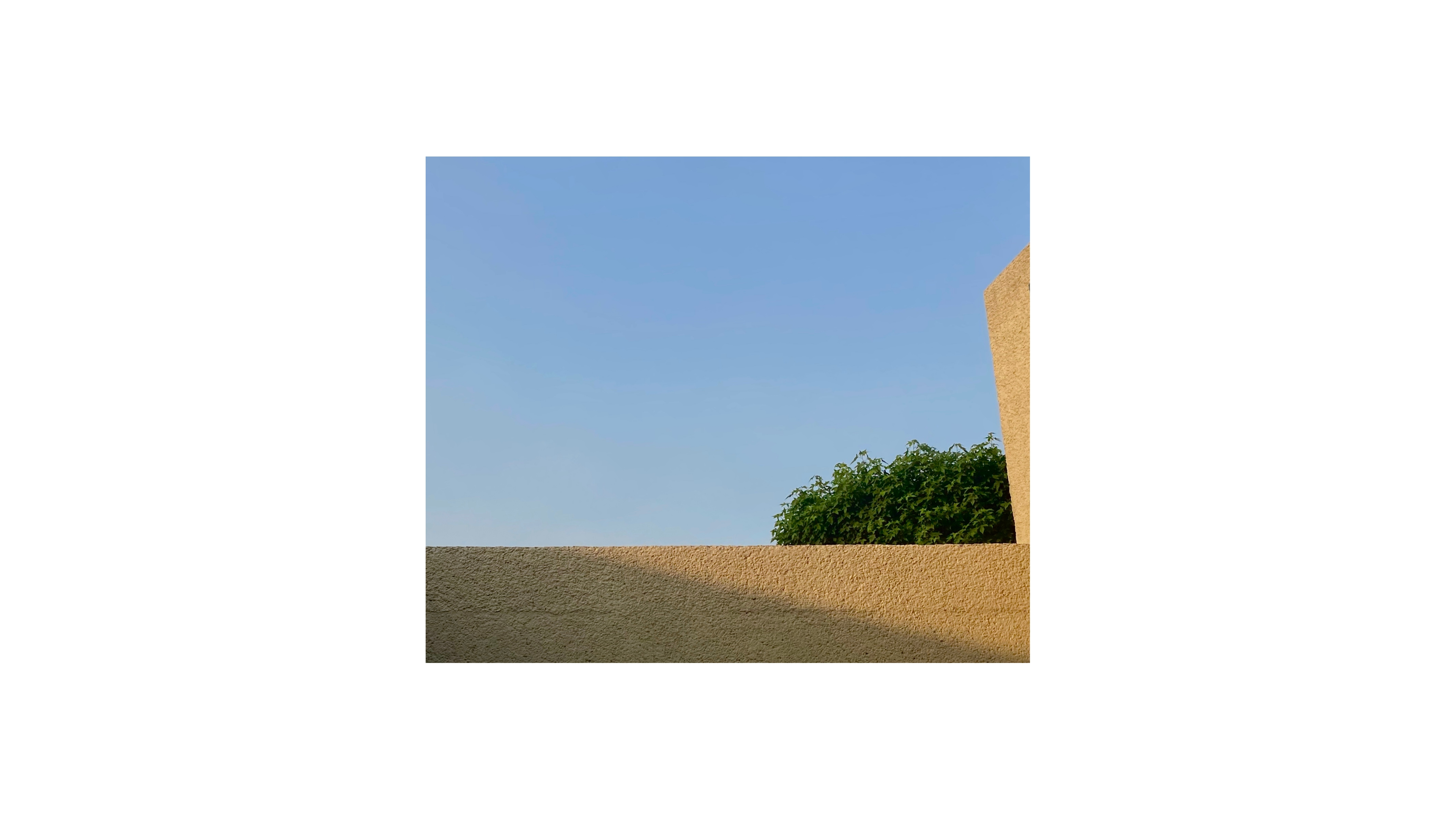 Fotografía de autor 18